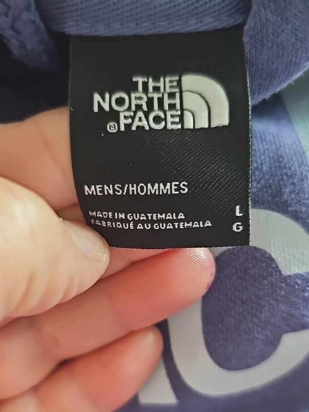 The North Face Sweatshirt  Pullover Hoodie Men Large Blue Logo